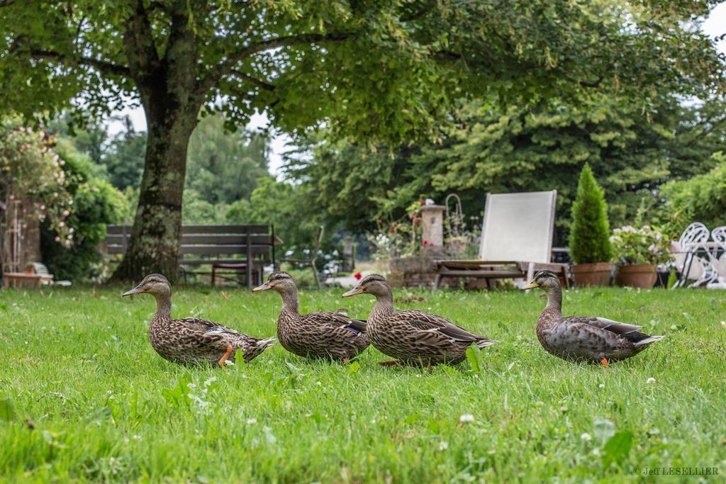 La Ferme De Marie Eugenie Bed & Breakfast Bruailles Exterior photo